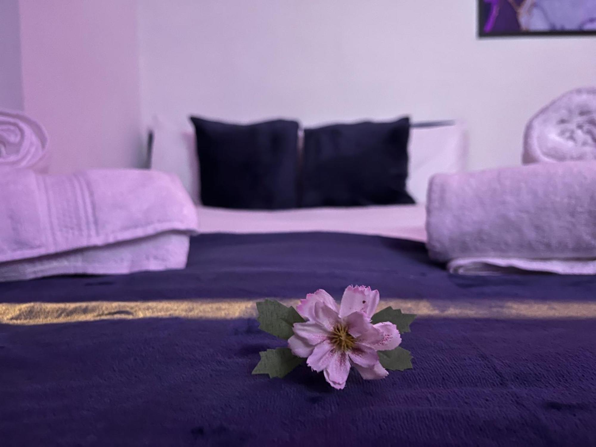 Apartment In Camden, Central Location ลอนดอน ภายนอก รูปภาพ
